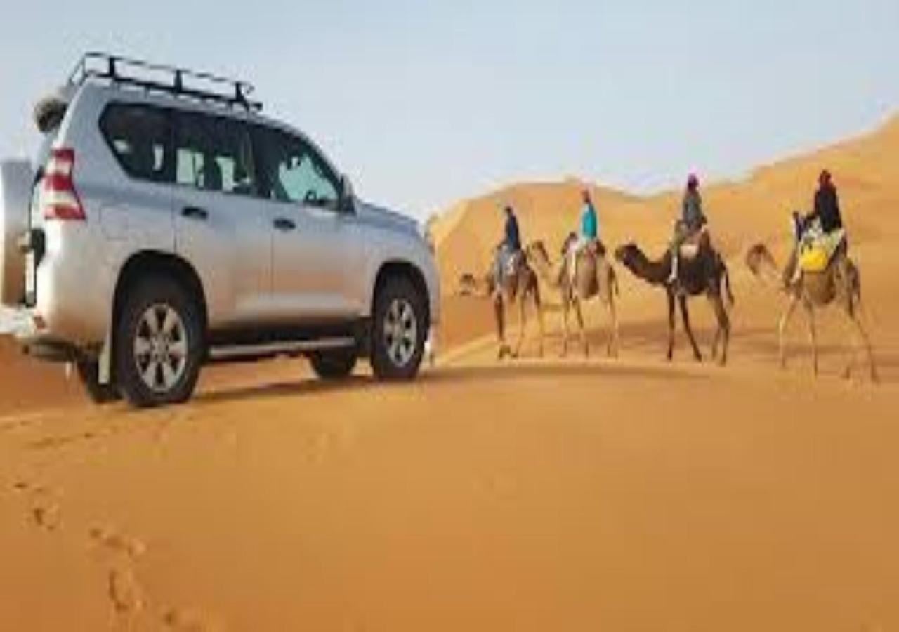 Desert Life Camp メルズーガ エクステリア 写真
